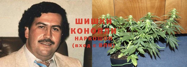PSILOCYBIN Горнозаводск