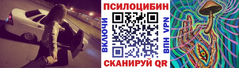 Купить где  Игарка  Псилоцибиновые грибы Psilocybe 